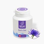 Devil's Claw – 100 capsules (1044906)